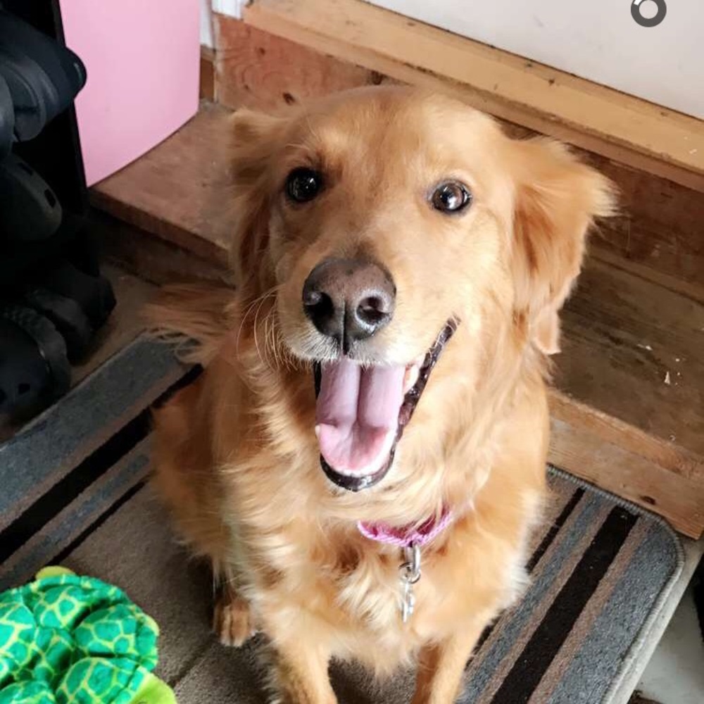 Meet your Posher, Andrea